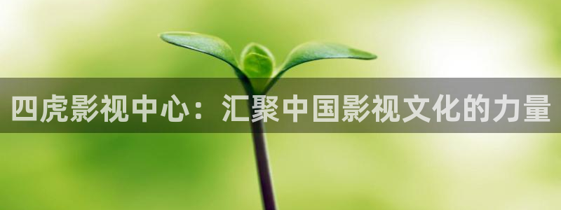 飞马良子影视有限公司：四虎影视中心：汇聚中国影视文化的力量