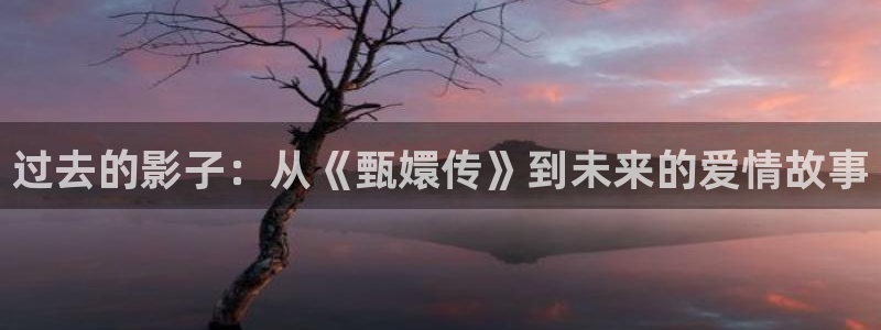 飞马影院在线观看：过去的影子：从《甄嬛传》到未来的爱情故事