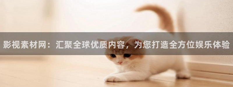 飞马影视电影：影视素材网：汇聚全球优质内容，为您打造全方位娱乐体验