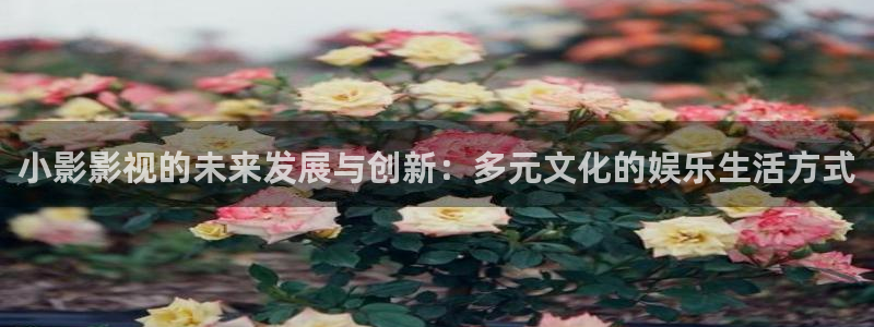飞马影院下载安装