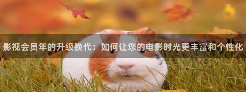 飞马影视电影：影视会员年的升级换代：如何让您的电影时光更丰富和个性化