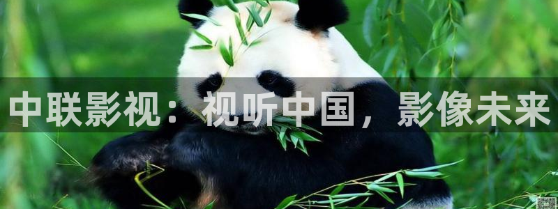 飞马影院免费下载：中联影视：视听中国，影像未来